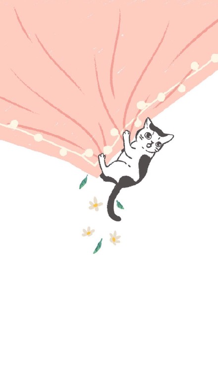 猫咪手机壁纸合集来啦