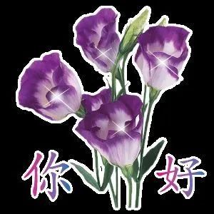 中老年土味表情包合集