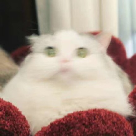 11月7日热门斗图表情包合集