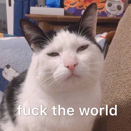 整理好了！一波无水印热门表情包，斗图直接用