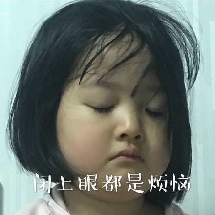 权律二这组生无可恋表情包太绝了