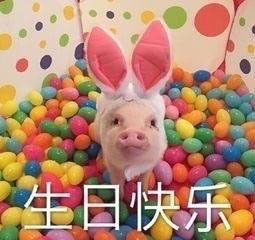 最近过生日的朋友看过来！这里有全套生日祝福表情包