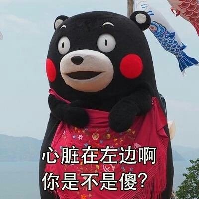 用熊本熊的土味情话表情包，轻松拿捏撩妹聊天局