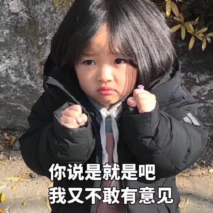 12月28日精选表情包原图来啦