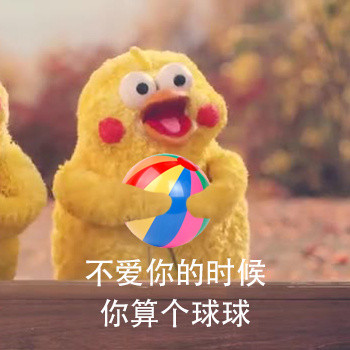 去你妈的爱情！鹦鹉兄弟怼爱情表情包来了