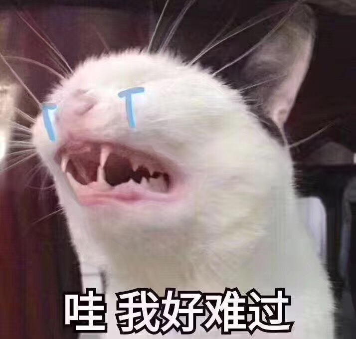 11月15日热门斗图表情包合集