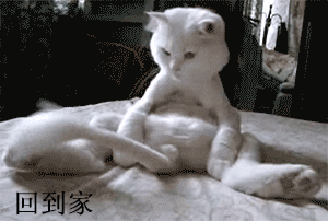 打工人的一天！这些场景是不是戳中你了
