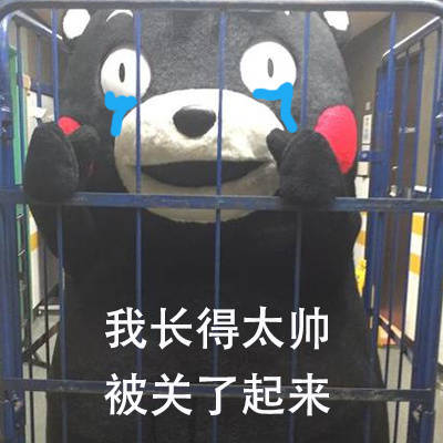 熊本熊被关起来啦 这套表情包太有意思了