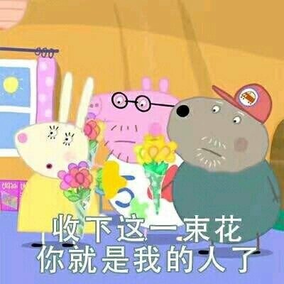 小猪佩奇聊天表情包合集