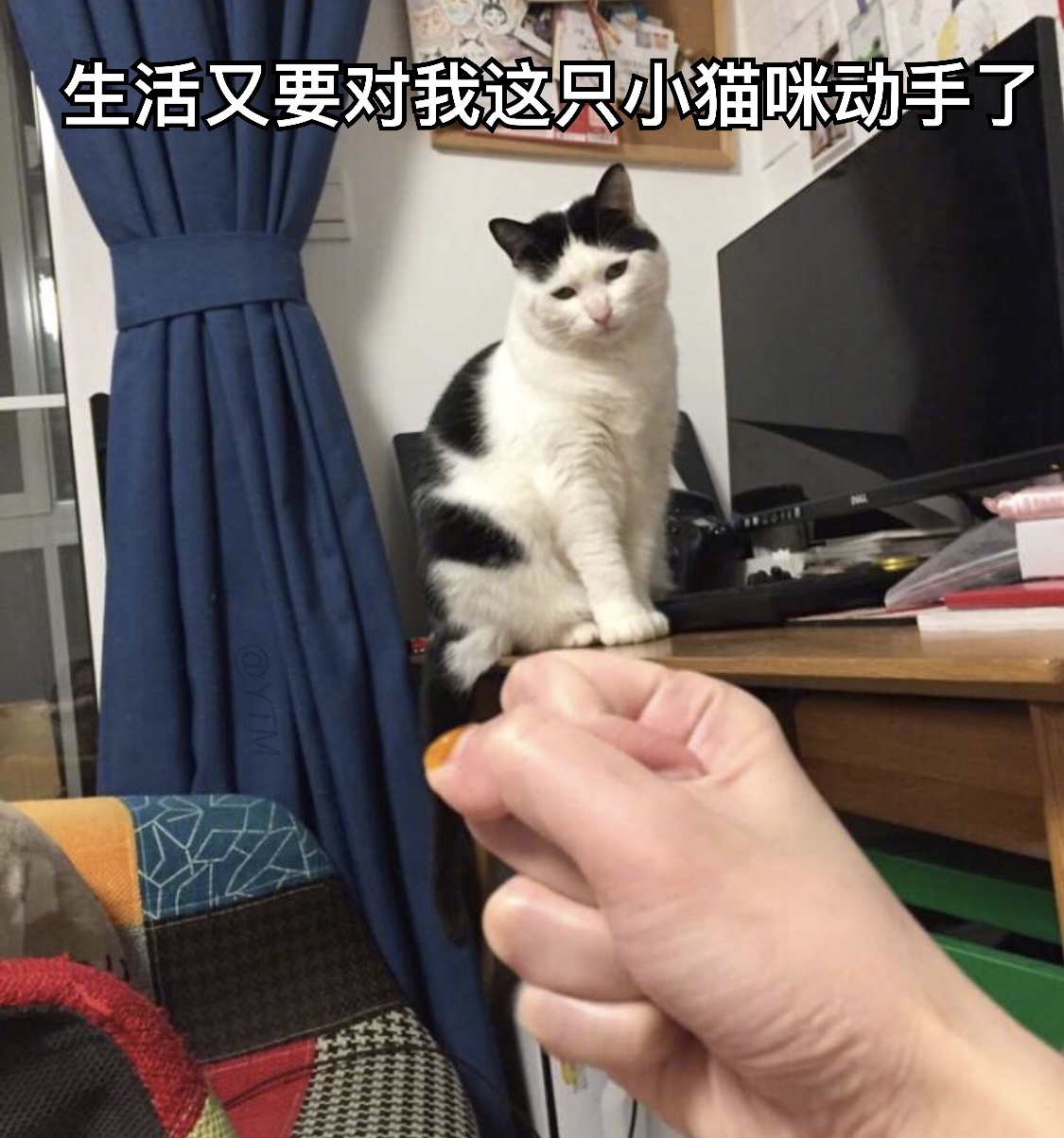 3月4日斗图必备表情包原图合集