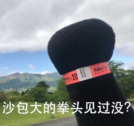 熊本熊拳头表情包合集，斗图必备！