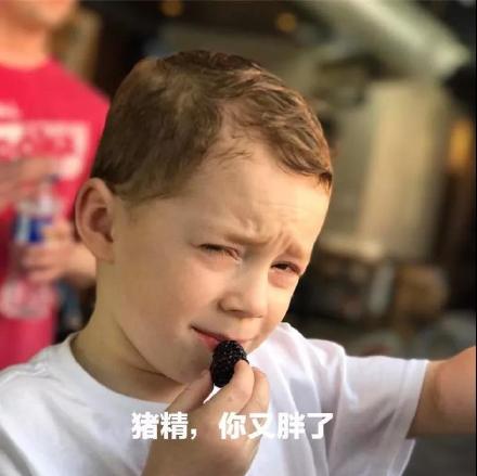 假笑男孩Gavin专属表情包合集