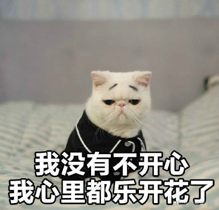 “我没有不开心”的喵咪丧气表情包来啦
