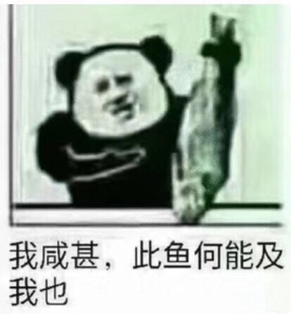 3月4日斗图必备表情包原图合集