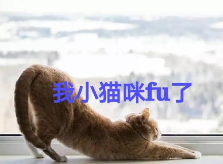 “我服了”表情包上新！动物版“FU”梗太有意思了