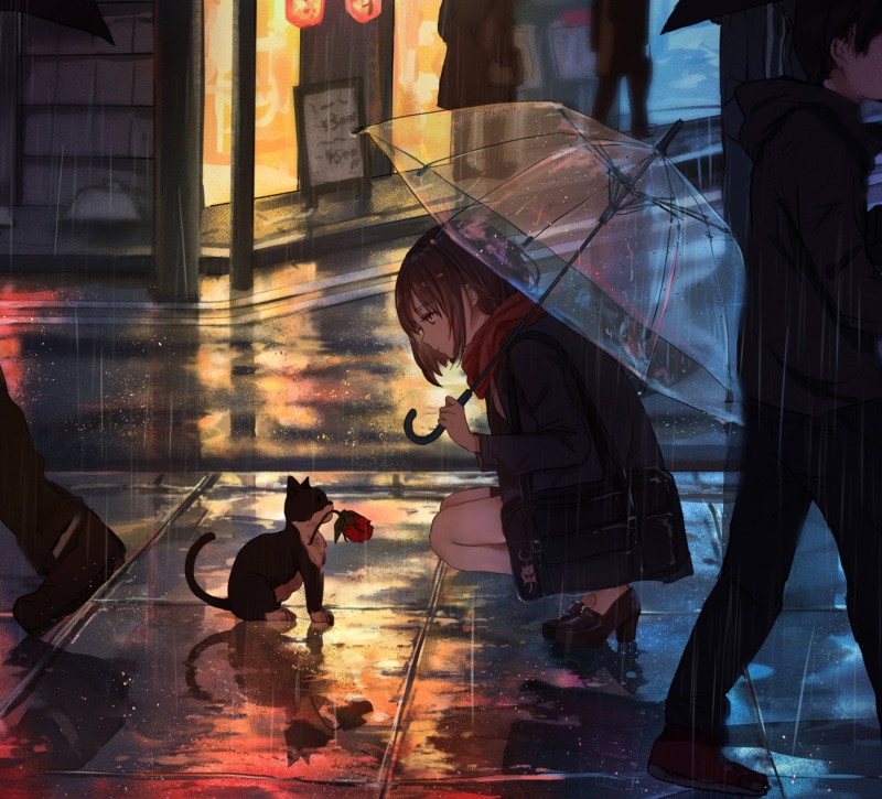 软萌少女携猫赏雨 2K高清治愈壁纸