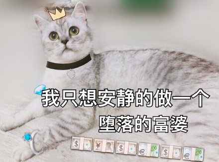 超实用猫咪表情包合集 斗图必备