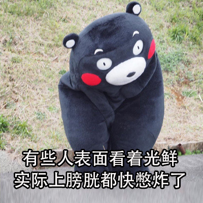 表面光鲜的人背地里竟有这些小尴尬？这套熊本熊表情包太真实了