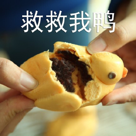 一弹鸭鸭表情包来啦！超全可爱鸭鸭表情合集