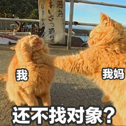 放假宅家被妈妈念叨的日常表情包