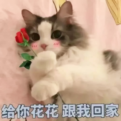 26张可爱带字萌娃表情包头像合集 适合当微信头像用