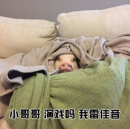 女生主动搭话男生的表情包合集来了