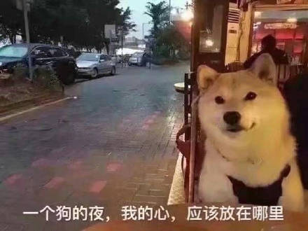 七夕单身狗专属表情包，戳中你的心巴