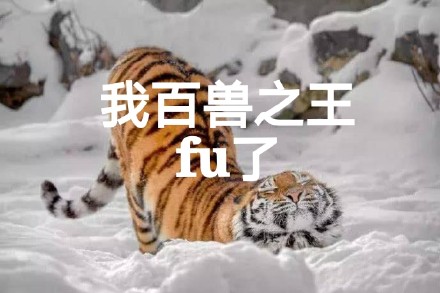“我服了”表情包上新！动物版“FU”梗太有意思了