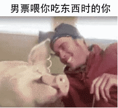 这篇内容是表情包分享网站的页面，并非传统新闻稿，我将按照要求重写呈现：