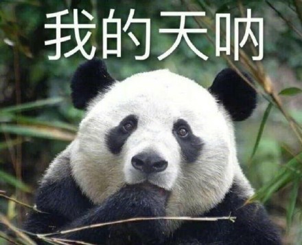 大熊猫系列表情包合集