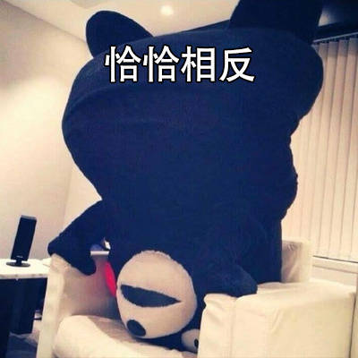 说话带刺别往心里去！这套熊本熊表情包帮你圆场