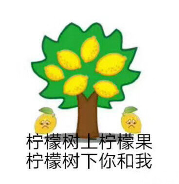 1月14日斗图表情包合集更新啦