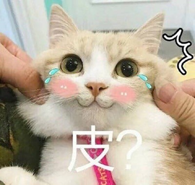 超治愈！这组软萌猫咪表情包太适合聊天斗图啦