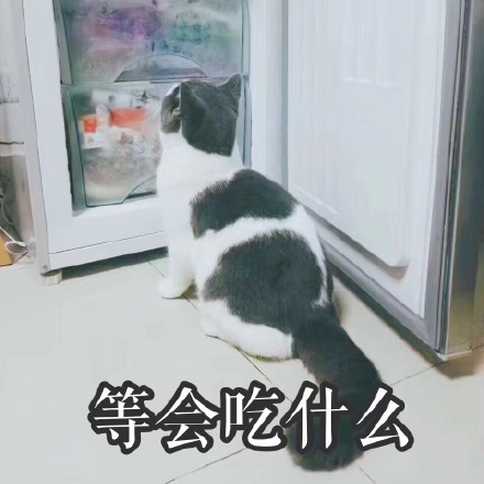 存好这套猫咪表情包，开启你的吸猫斗图之旅