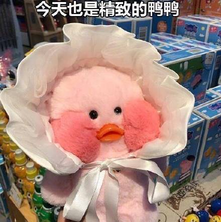 火出圈的玻尿酸鸭表情包来啦