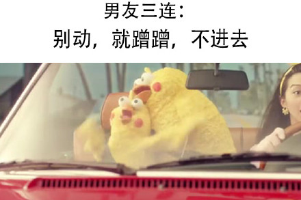 鹦鹉兄弟出新三连表情包啦！