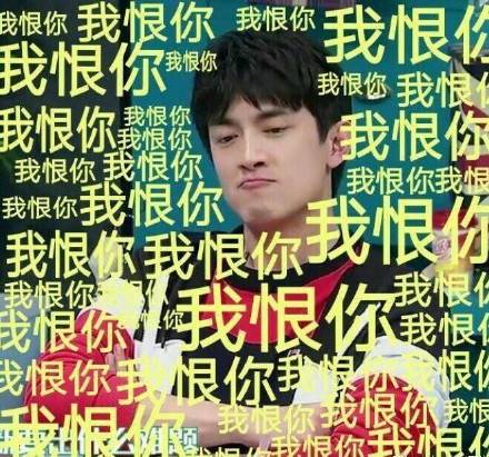 林更新同款“我恨”表情包来了！