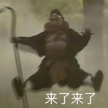 11月30日最新热门斗图表情包合集