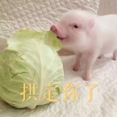 26张可爱带字萌娃表情包头像合集 适合当微信头像用