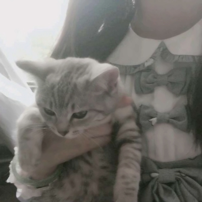 34张高清霸气女生部位头像，个性女头直接用