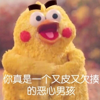 鹦鹉兄弟怼人表情包合集
