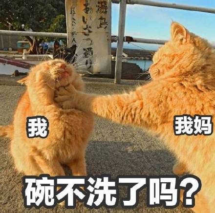 放假宅家被妈妈念叨的日常表情包