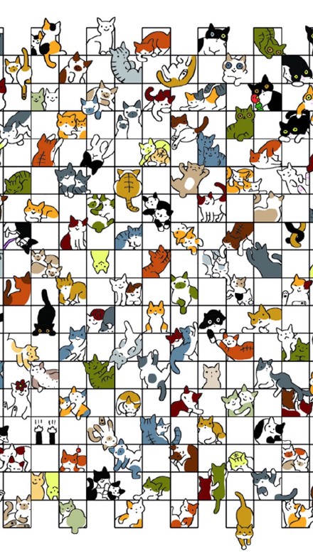 猫咪手机壁纸合集来啦