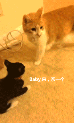 来大姨妈时的真实状态，这套表情包太懂了