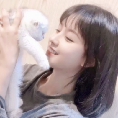 35张高清好看的女生抱猫头像合集
