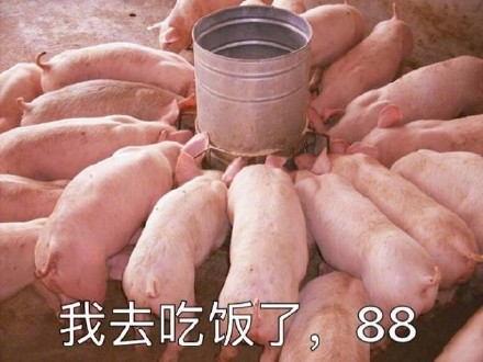 超可爱萌猪表情包合集！聊天斗图必备