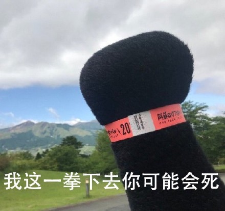 熊本熊拳头表情包合集，斗图必备！