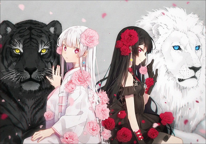 多款绝美二次元少女壁纸合集 戴花少女 彩系风格 萌系动物 黑发少女 壁纸