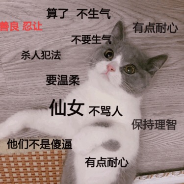 超实用猫咪表情包合集 斗图必备