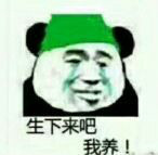 流泪熊猫头绿帽整活包，全程一路绿到底